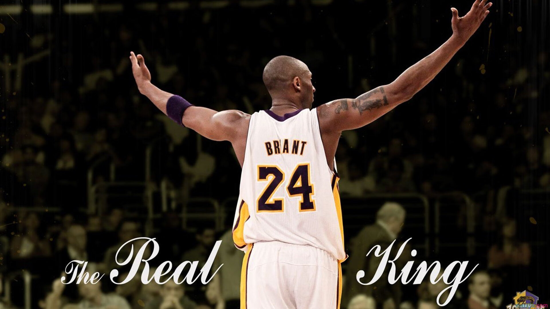 _奇才队士气振奋,追梦季后赛_,奇才队视频